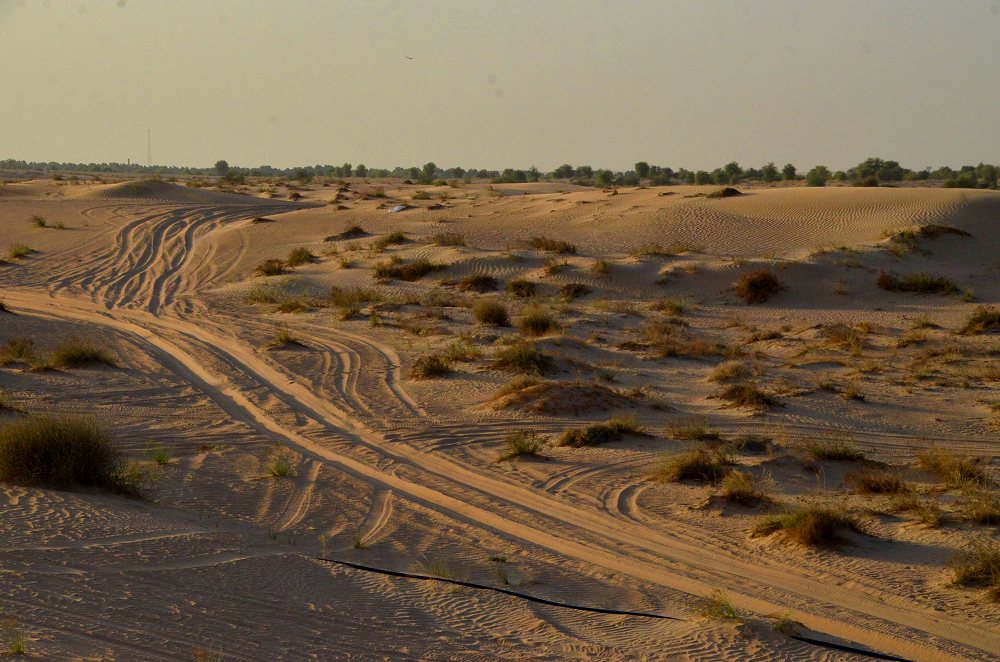 Dubai: in der Wste an der Grenze zum Oman