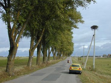 Der Weg zum Berg der Kreuze (click to enlarge - anklicken zum Vergroessern)