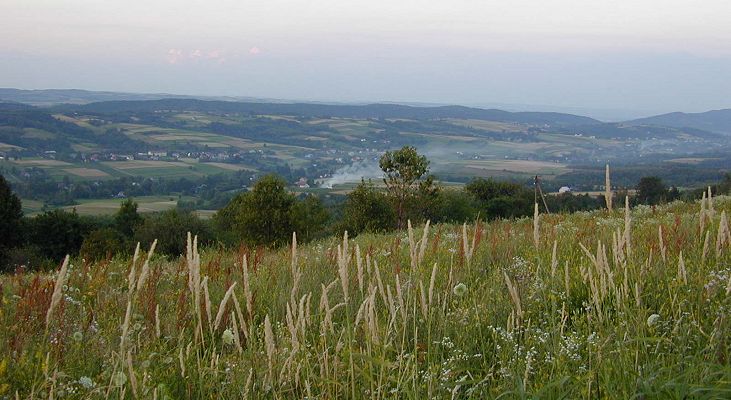 Polen: gr&uuml;n wie Irland