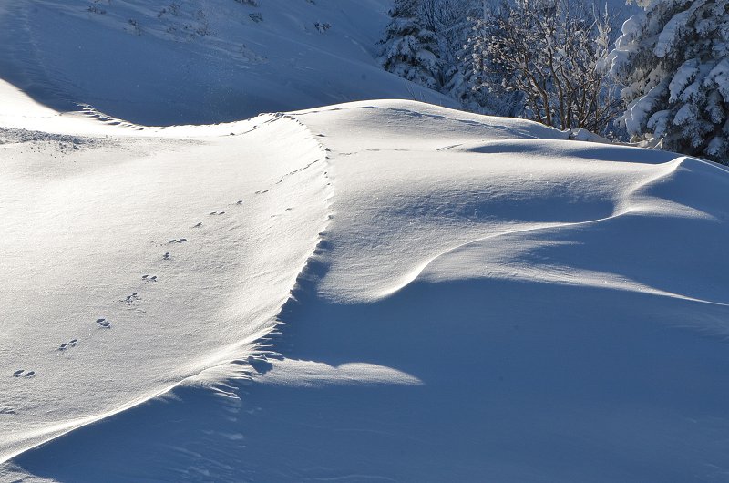 Winter in Tirol: Schnee