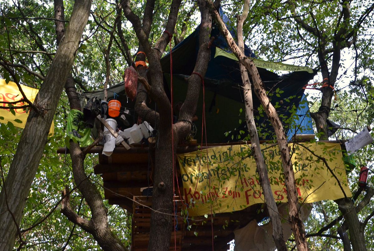 Fr immer verloren: der ber 1000 Jahre alte Hambacher Forst