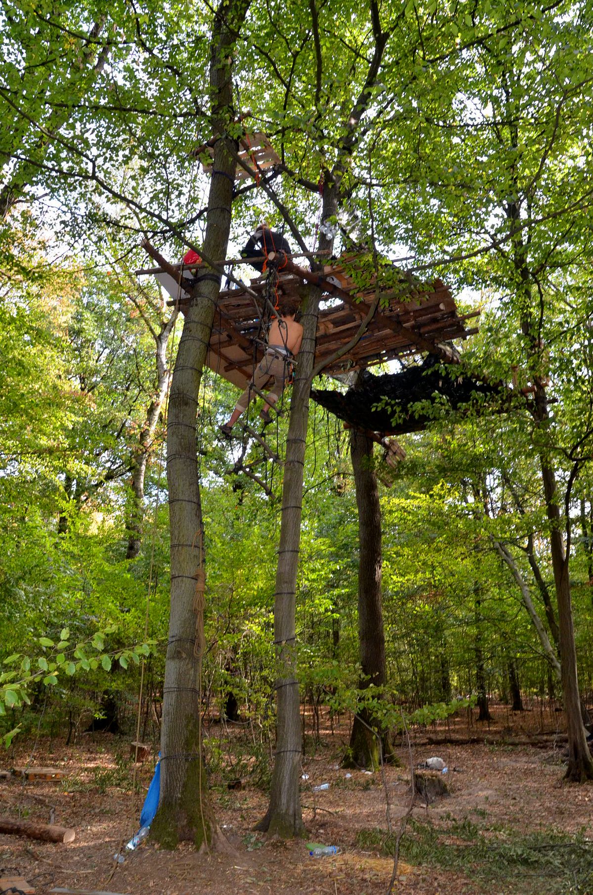 Fr immer verloren: der ber 1000 Jahre alte Hambacher Forst