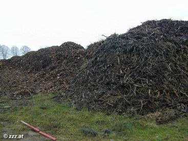 alle Bume und Pflanzen der Gegend: geschreddert und zu hunderten von Scheiterhaufen aufgetrmt (anklicken zum Vergröern)