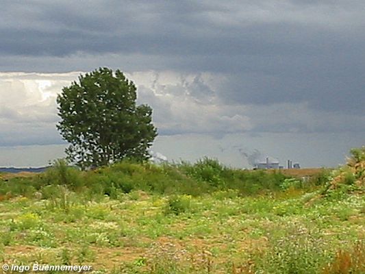 Die Heimat wird dem Braunkohle-Tagebau geopfert