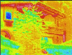 Thermographic picture - Infrarouge photograph: House in the summertime